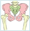 hbi_program_4